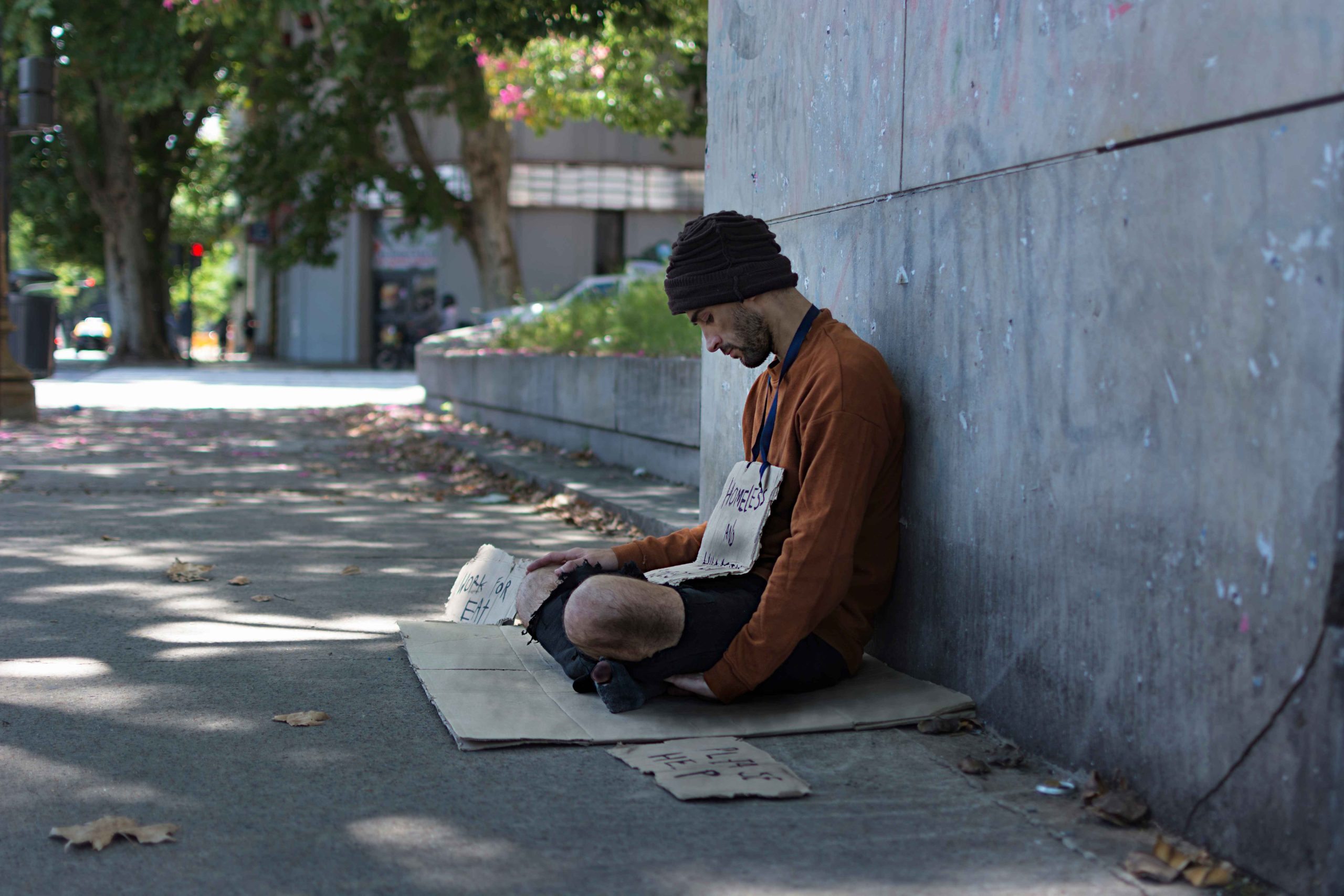 shelter (3)